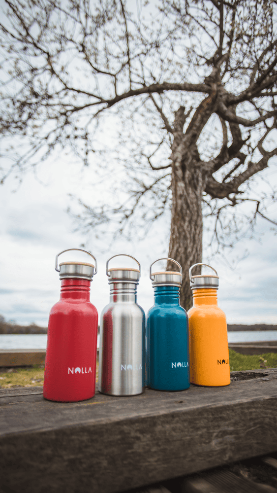 Mini Inox Bottle 50cl - Inox