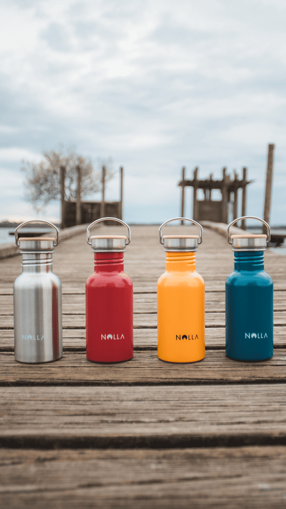 Mini Inox Bottle 50cl - Inox