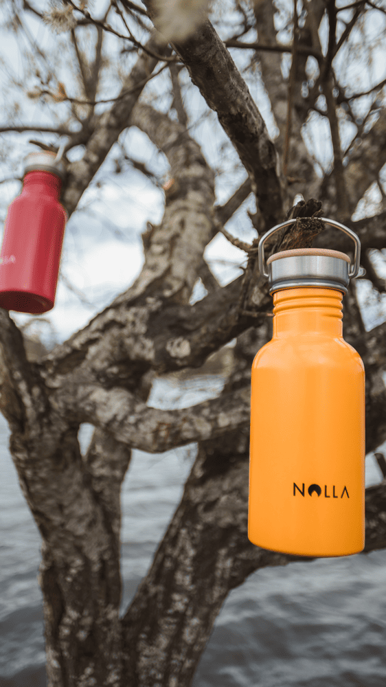 Botella Mini Inox 50cl - Naranja